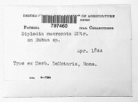 Image Associated With the Occurence